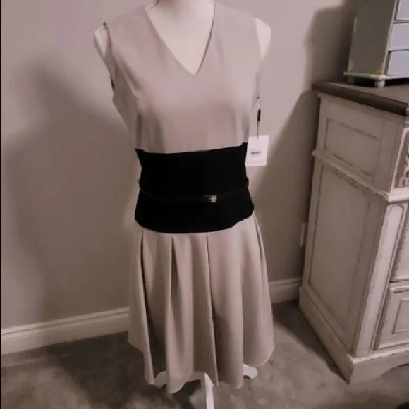 NWT Calvin Klein, size 4 , dress. - Picture 2 of 9